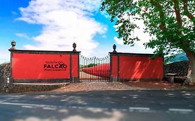 Quinta Do Falcao